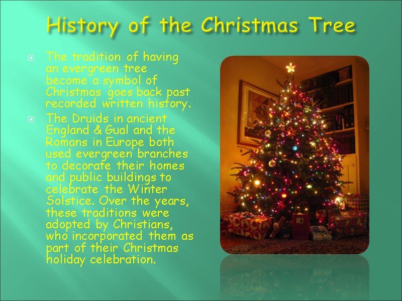 History of the Christmas Tree   The tradition of having an evergreen tree